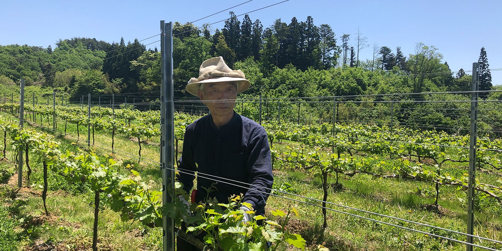 有限会社降矢農園